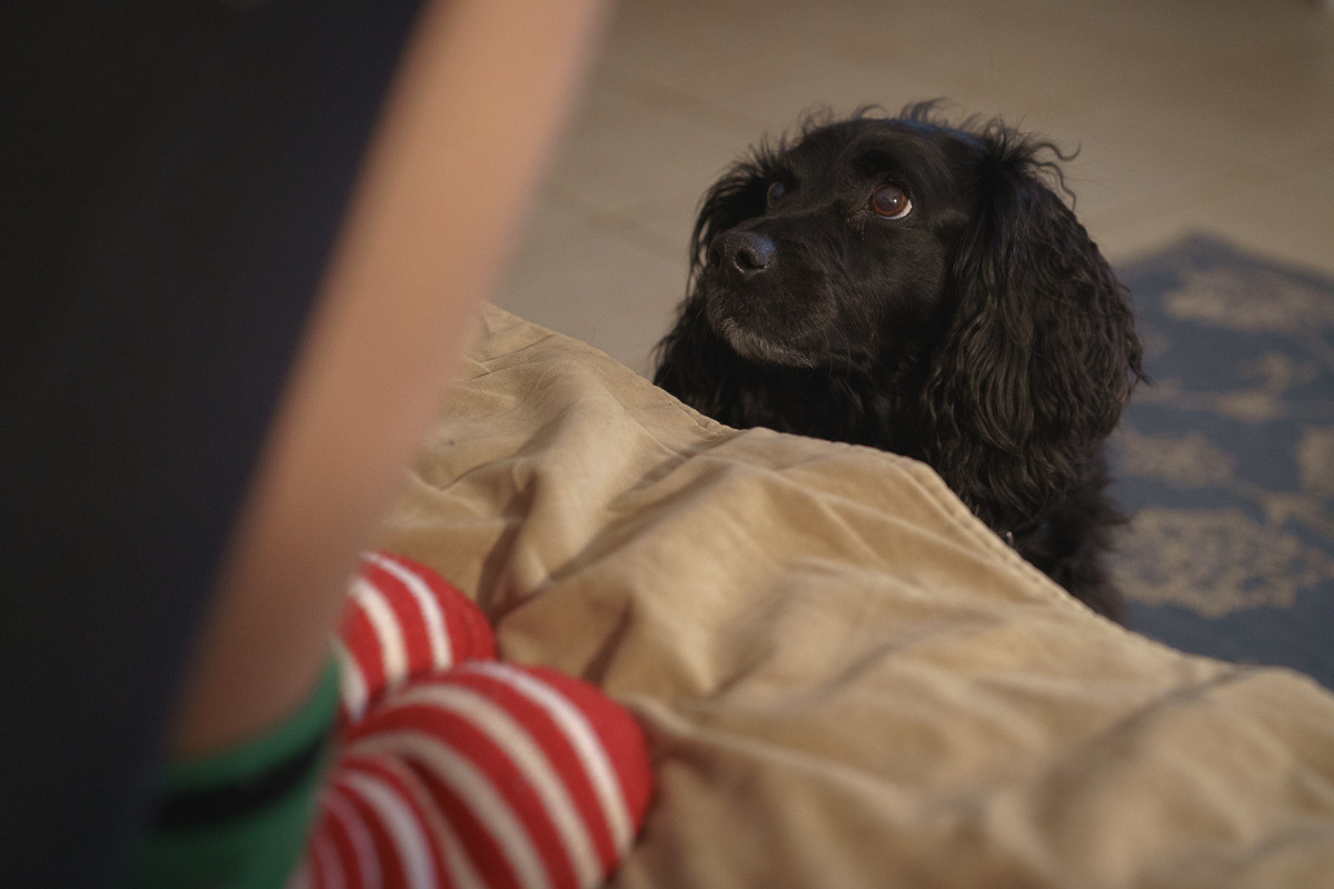 CY. Антонова | фото