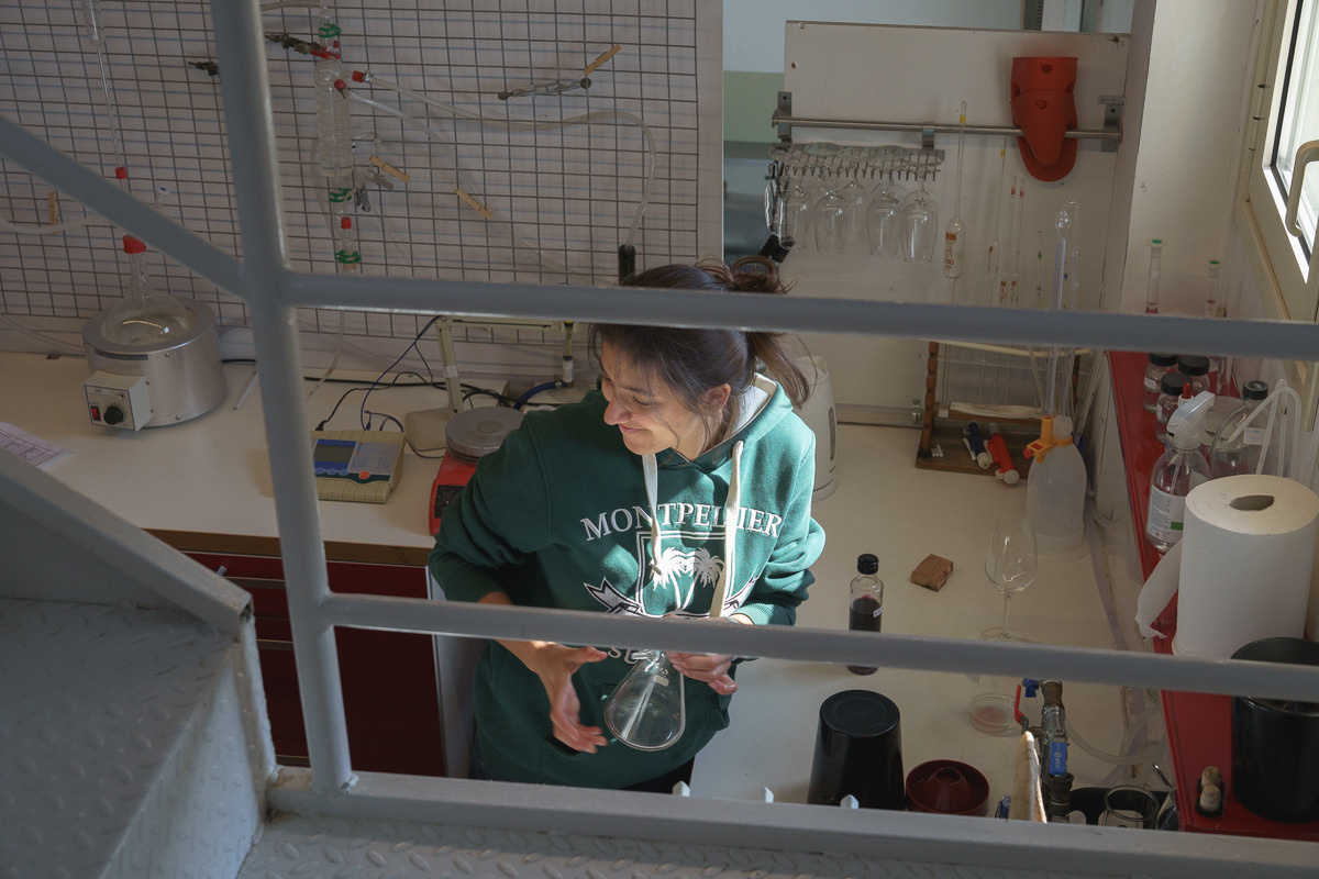 CY. Антонова | фото