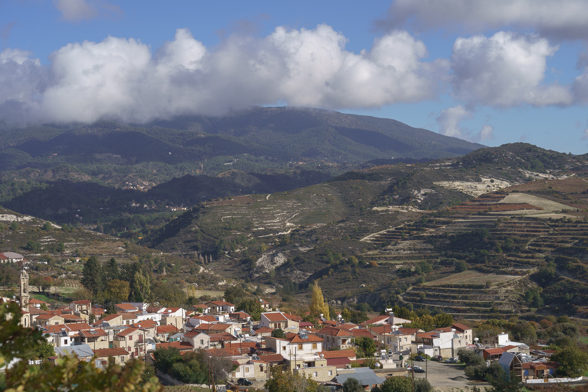 CY. Антонова | фото