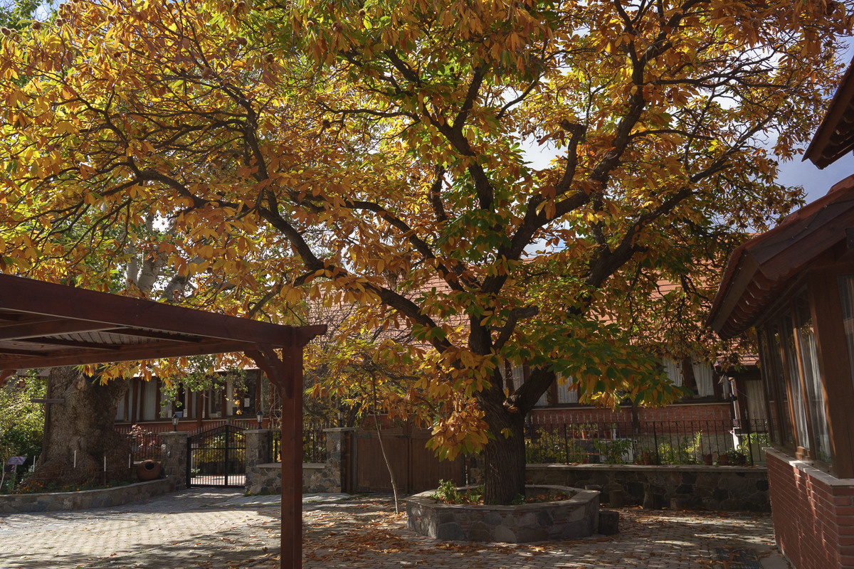 CY. Антонова | фото