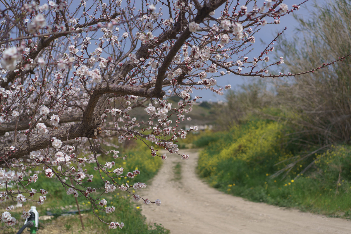 CY. Антонова | фото