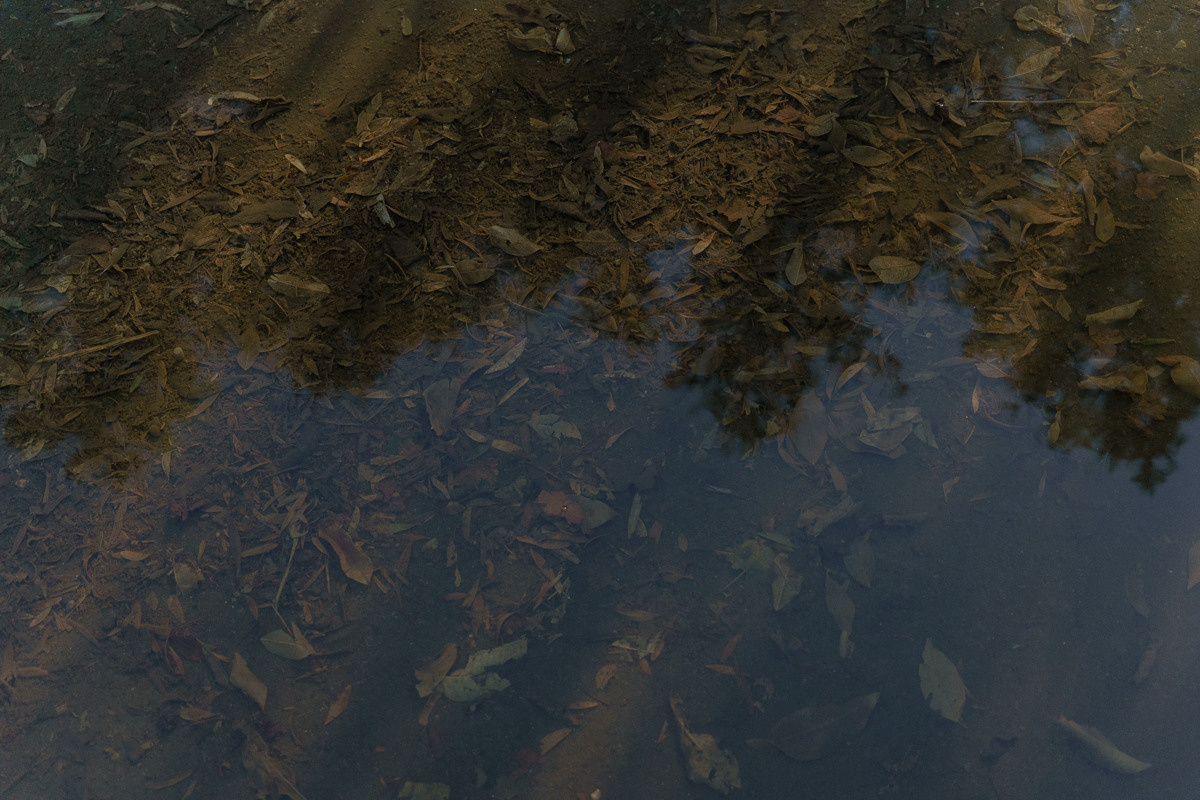 CY. Антонова | фото