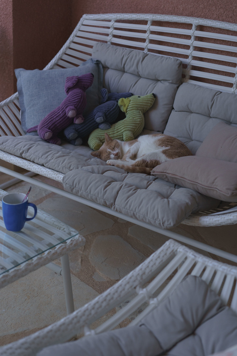 CY. Антонова | фото