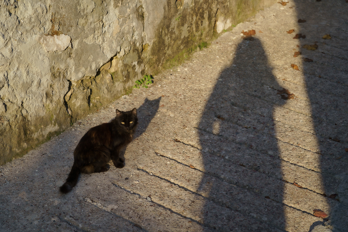 CY. Антонова | фото