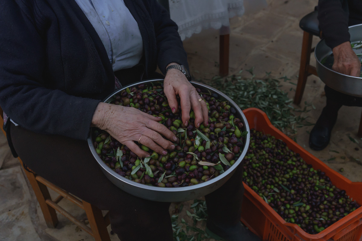 CY. Антонова | фото