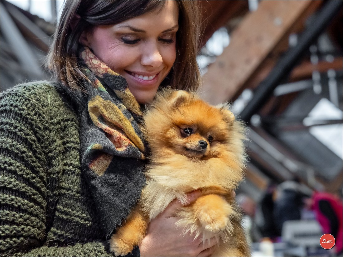 Expo canine 🇫🇷 Amiens 15-16/02/2025. Photographe à Strasbourg | Portraits, Studio, Enfants, Événements