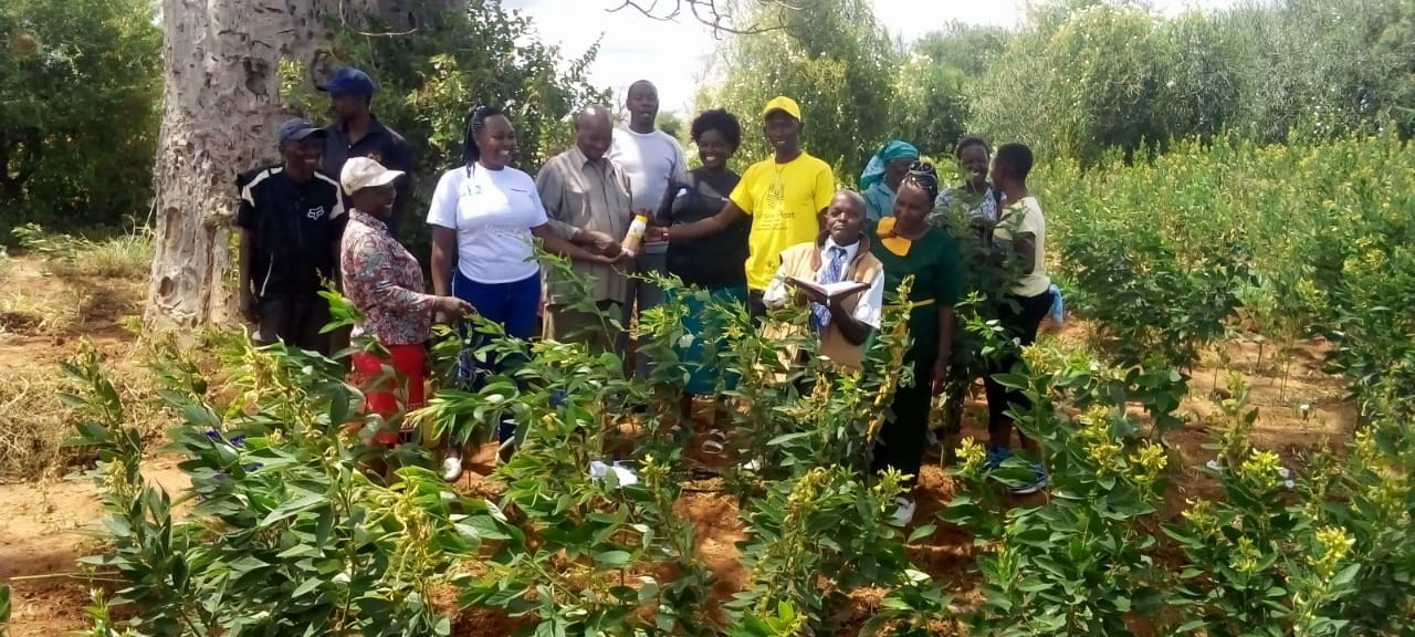 Grow Peat Organic Farming Training Crops and Sustainable Agriculture. Boost Plant Growth with Organic Fertilizers: Our Effective Solution