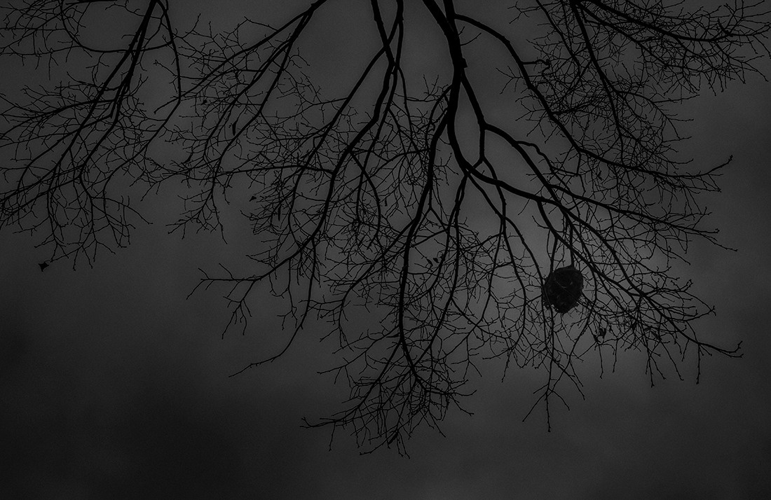 Project Alone. Helen McLain Photography