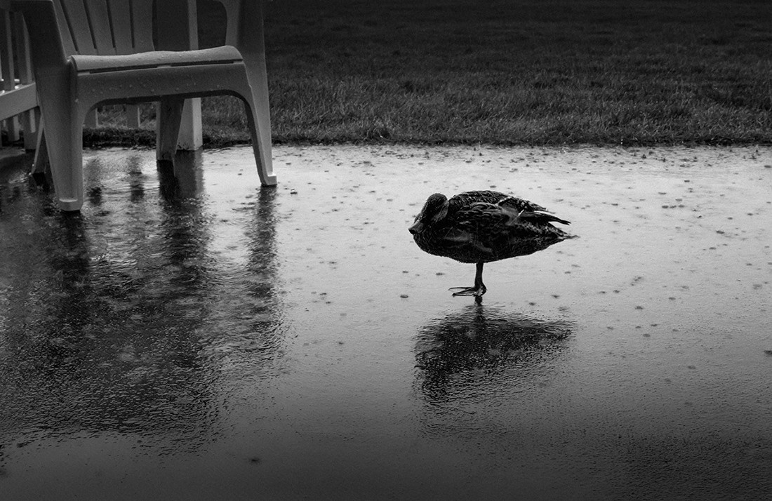 Project Alone. Helen McLain Photography