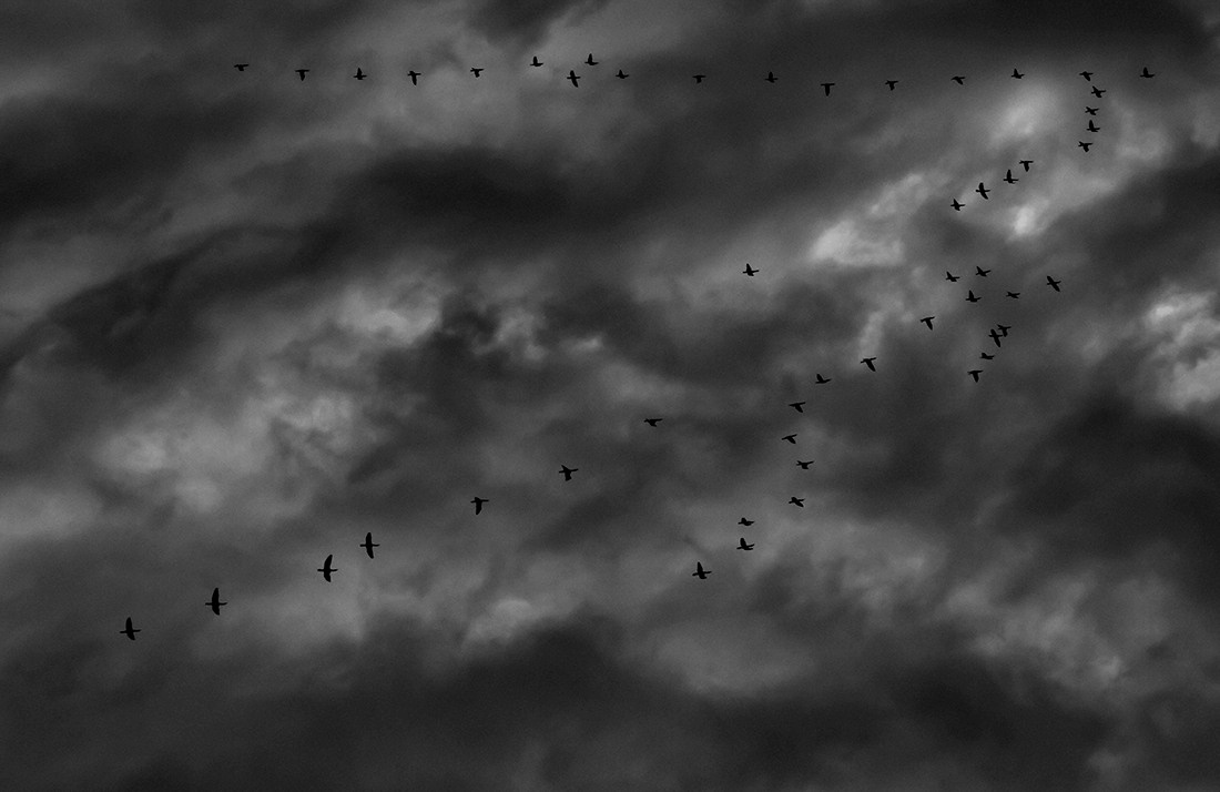 Project Alone. Helen McLain Photography