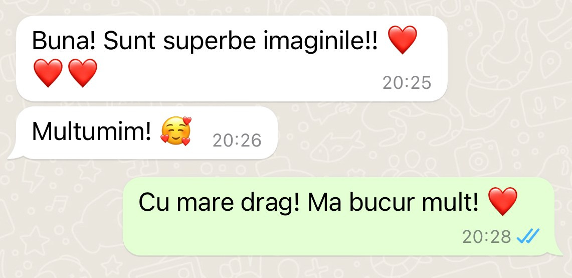 RECENZII. Fotograf nunta Bucuresti - Manu Ivanciu