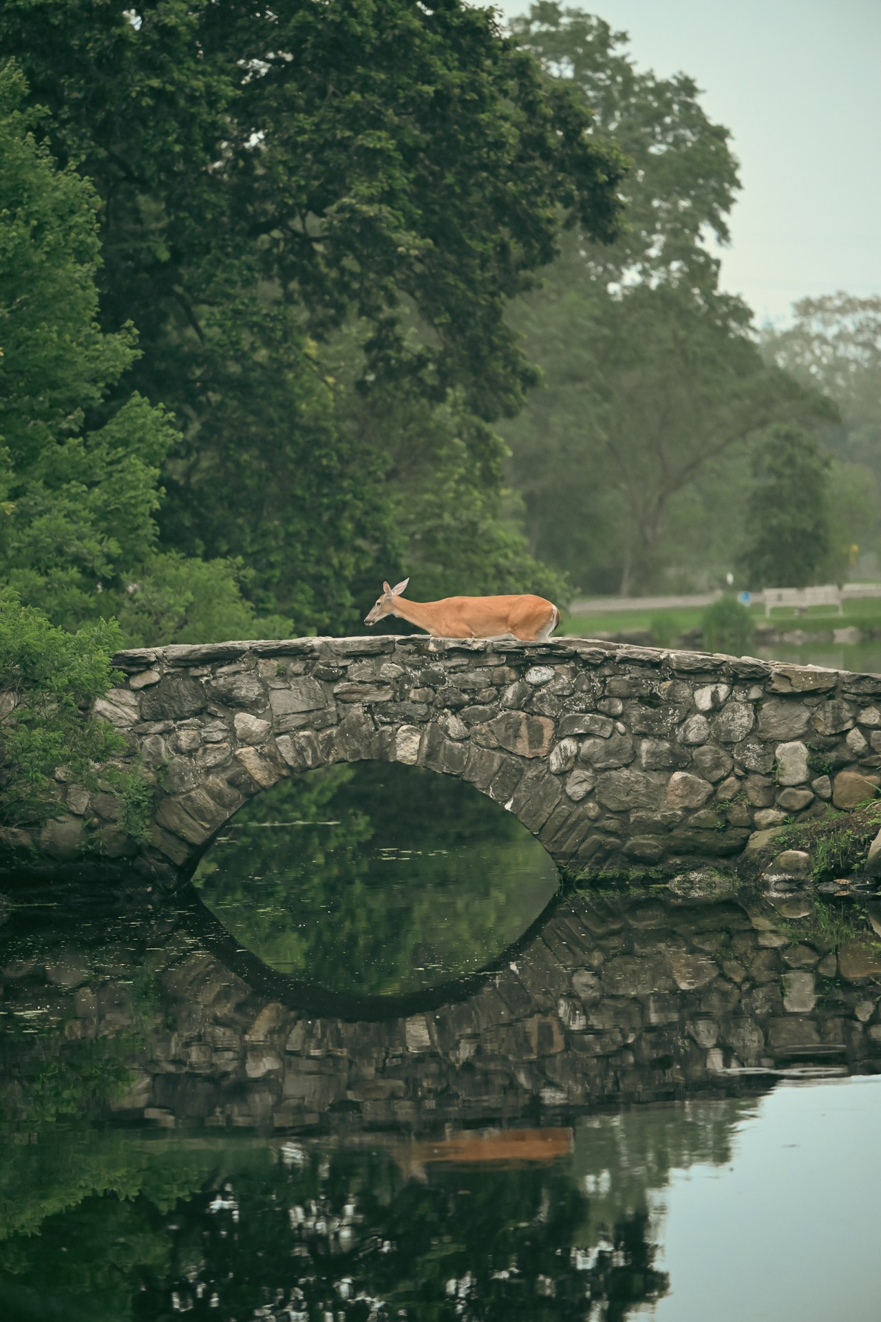 Crayola roots of Binney Park