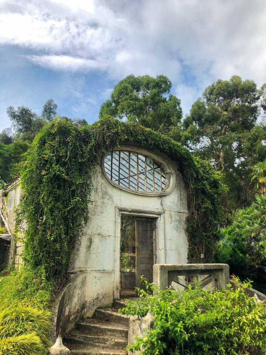Romantic wedding ceremony in Batumi. Главная