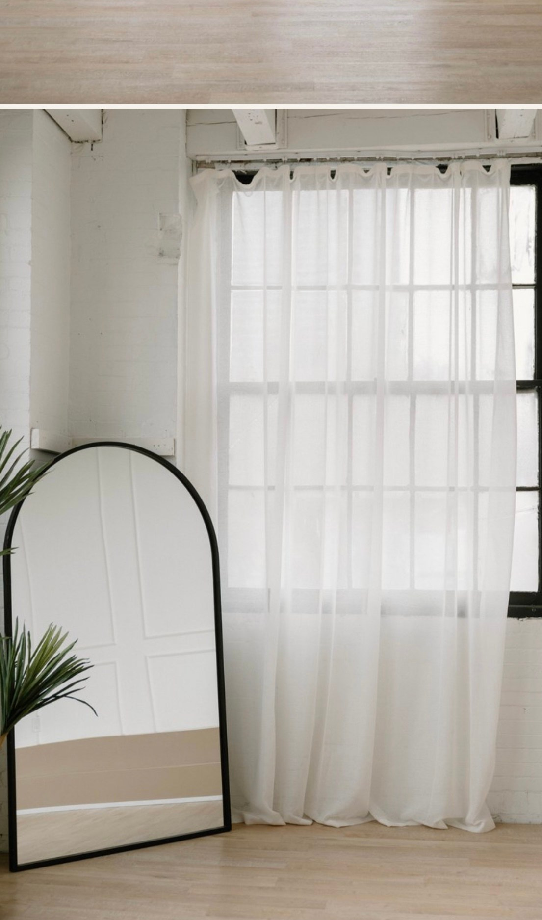 Studio photoshoot. Kitchener Waterloo Cambridge Photographer — Olga Ro