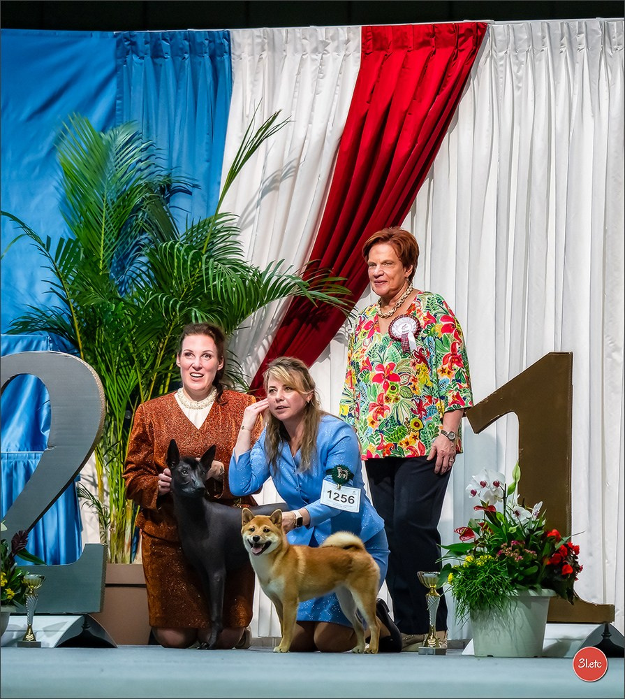 🇱🇺 LUXEMBOURG 🇱🇺 International Dog Show 🇱🇺 31/08 - 01/09/2024. Photographe à Strasbourg | Portraits, Studio, Enfants, Événements