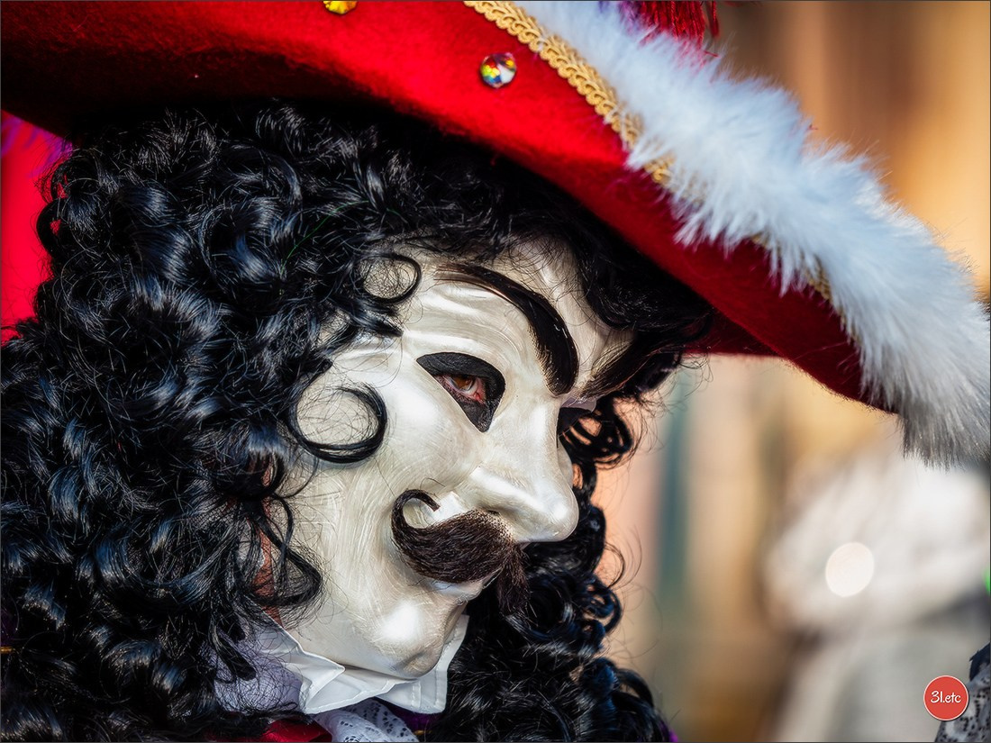 Concerts . Carnavals . Festivals. Photographe à Strasbourg | Portraits, Studio, Enfants, Événements