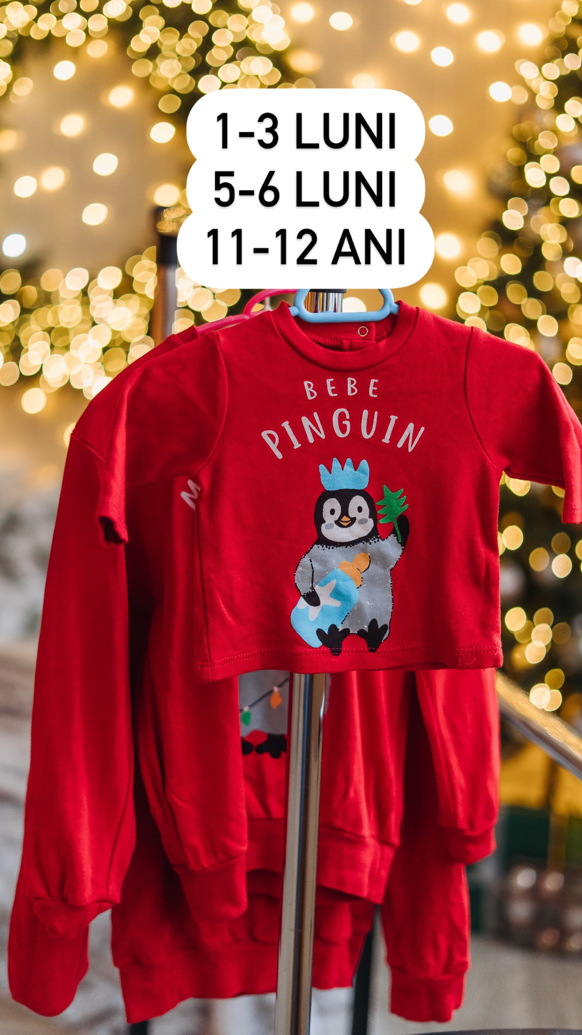 Sesiune foto de Crăciun (3). Diana Muntean Photography