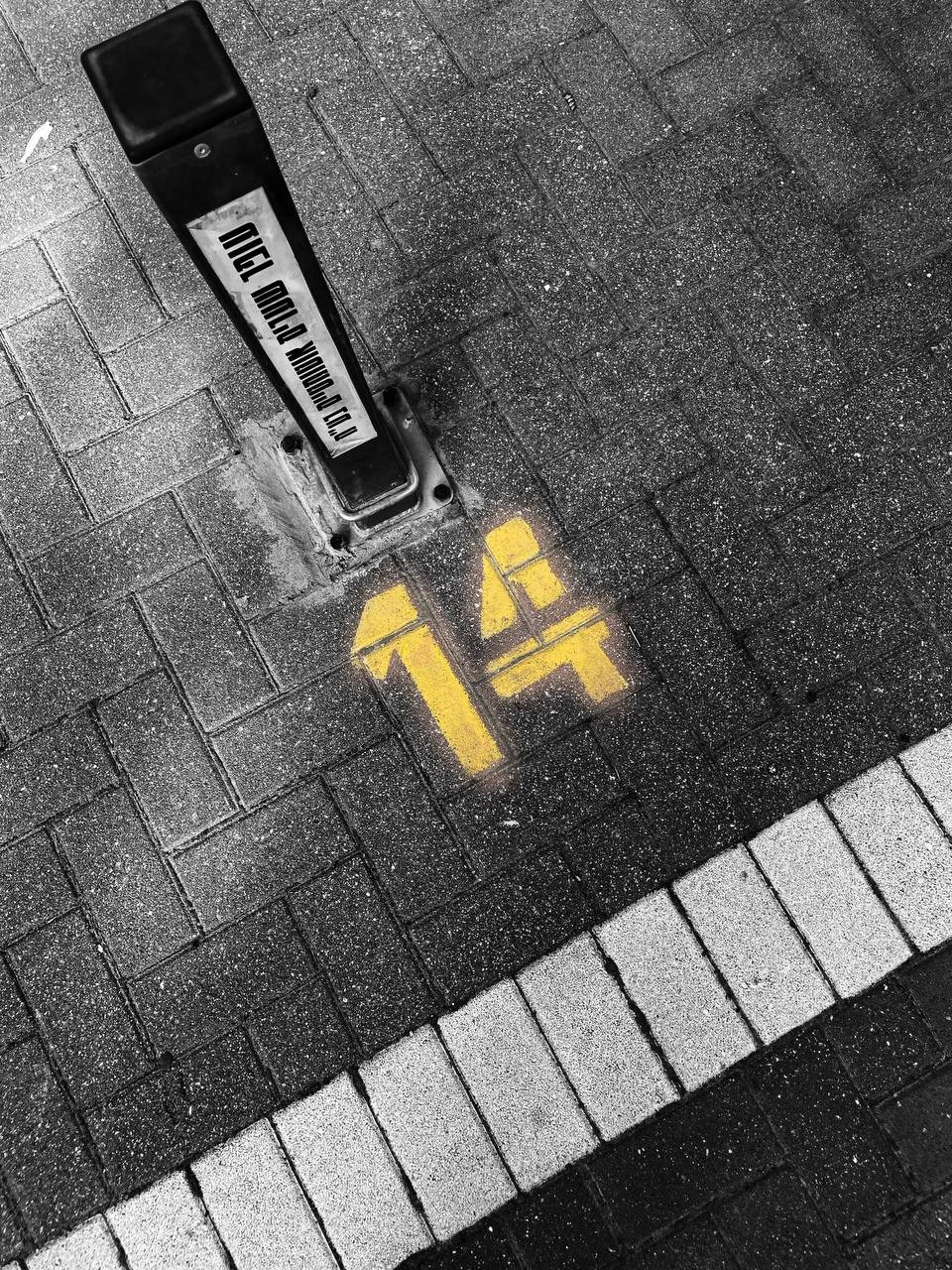 Сайт Ольги Беренштейн. Визуальный брендинг