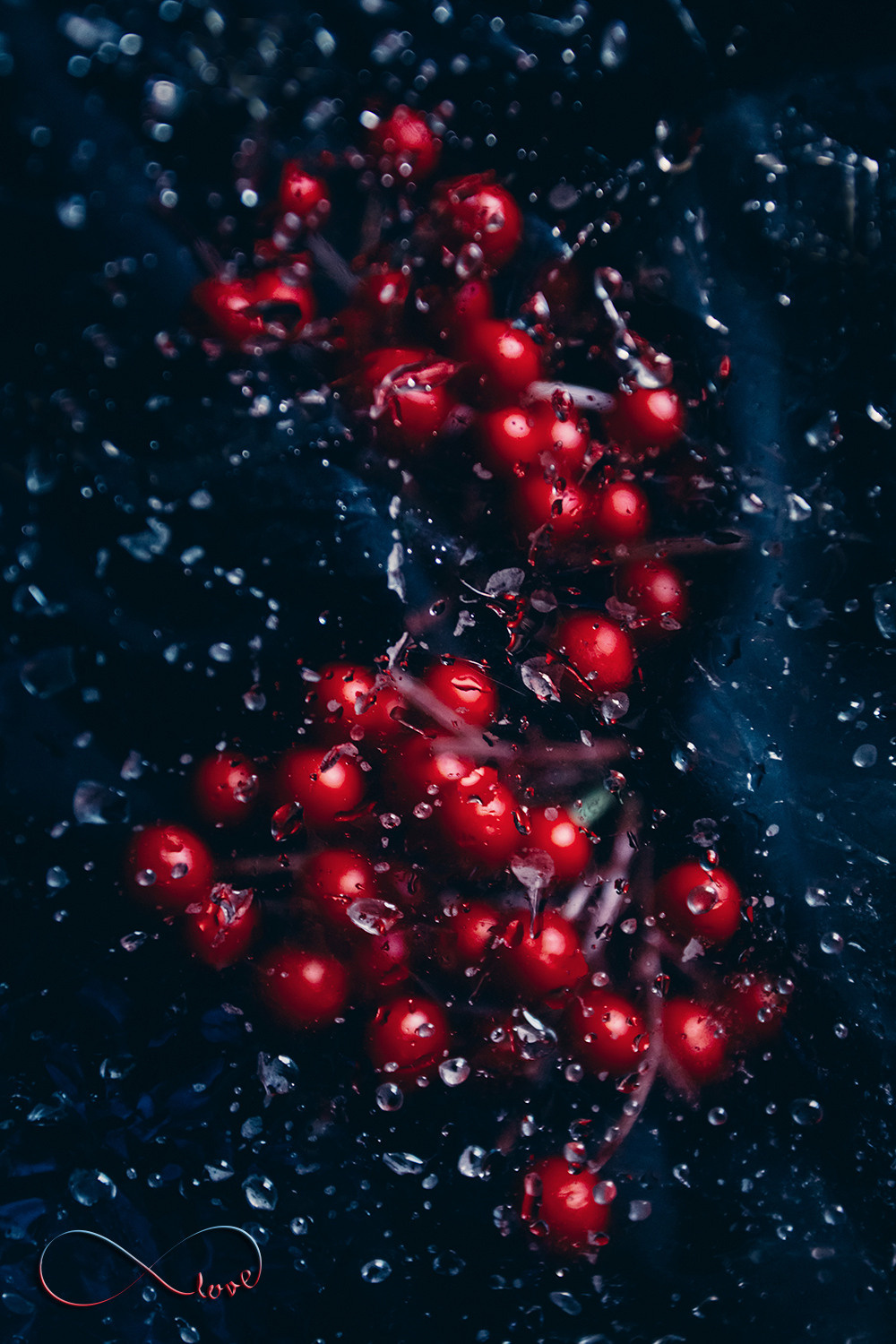 Personalized Still Lives. Lolly Shine. Contemporary digital artist