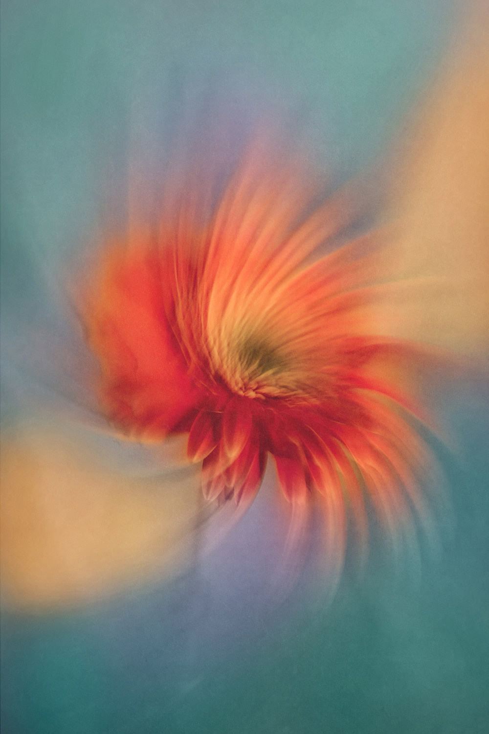 Life in motion. Lolly Shine. Contemporary digital artist