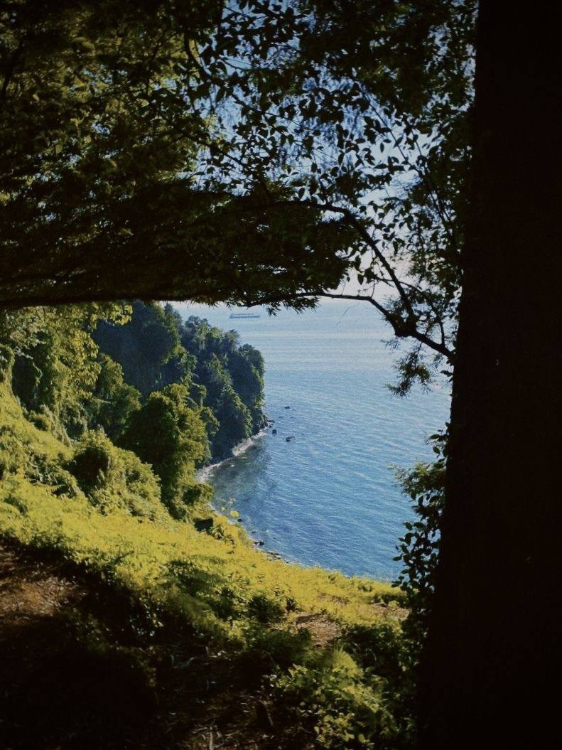 Romantic wedding ceremony in Batumi. Главная