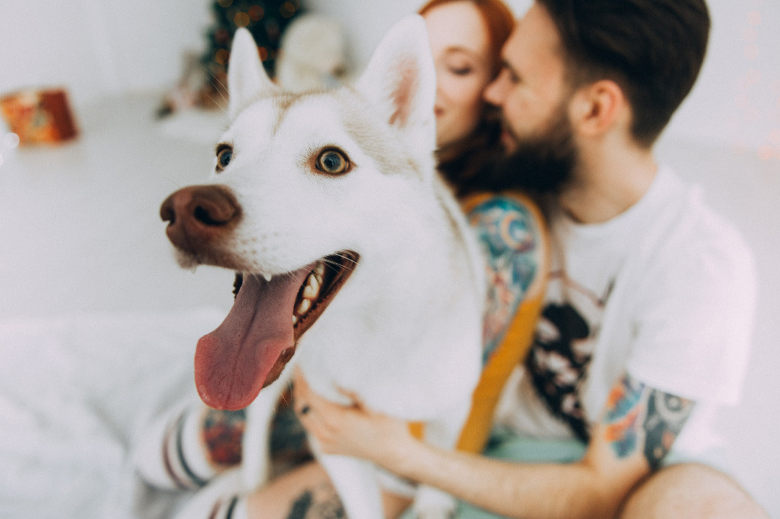 Christmas. Orange County Wedding Photographer & Videographer | Candid & Timeless Wedding Photo + Video | Italiantsev