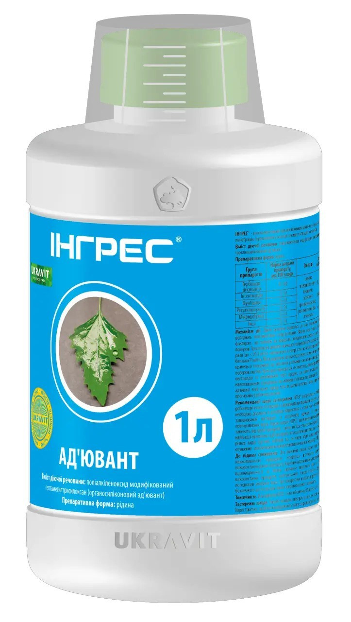 інгрес, ад'ювант