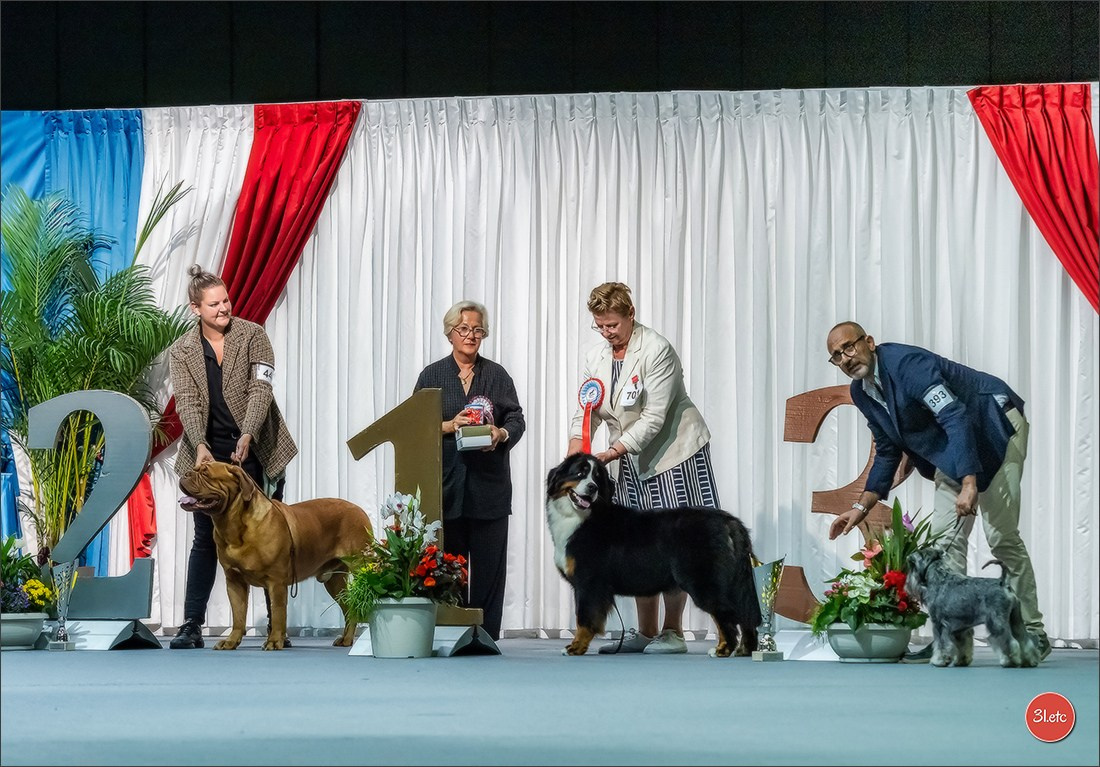 🇱🇺 LUXEMBOURG 🇱🇺 International Dog Show 🇱🇺 31/08 - 01/09/2024. Photographe à Strasbourg | Portraits, Studio, Enfants, Événements