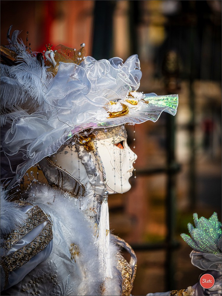 Concerts . Carnavals . Festivals. Photographe à Strasbourg | Portraits, Studio, Enfants, Événements