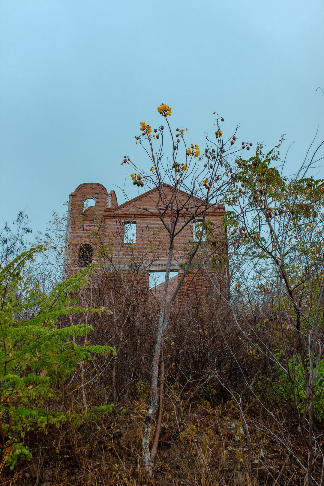 Edrd — Eduardo Med | Fotografia