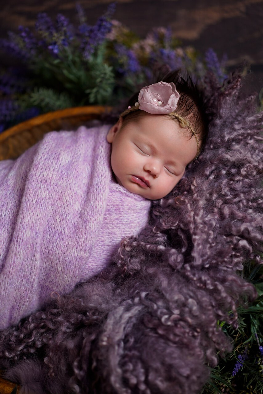 Sedinte foto nou-nascut. Cuibul foto