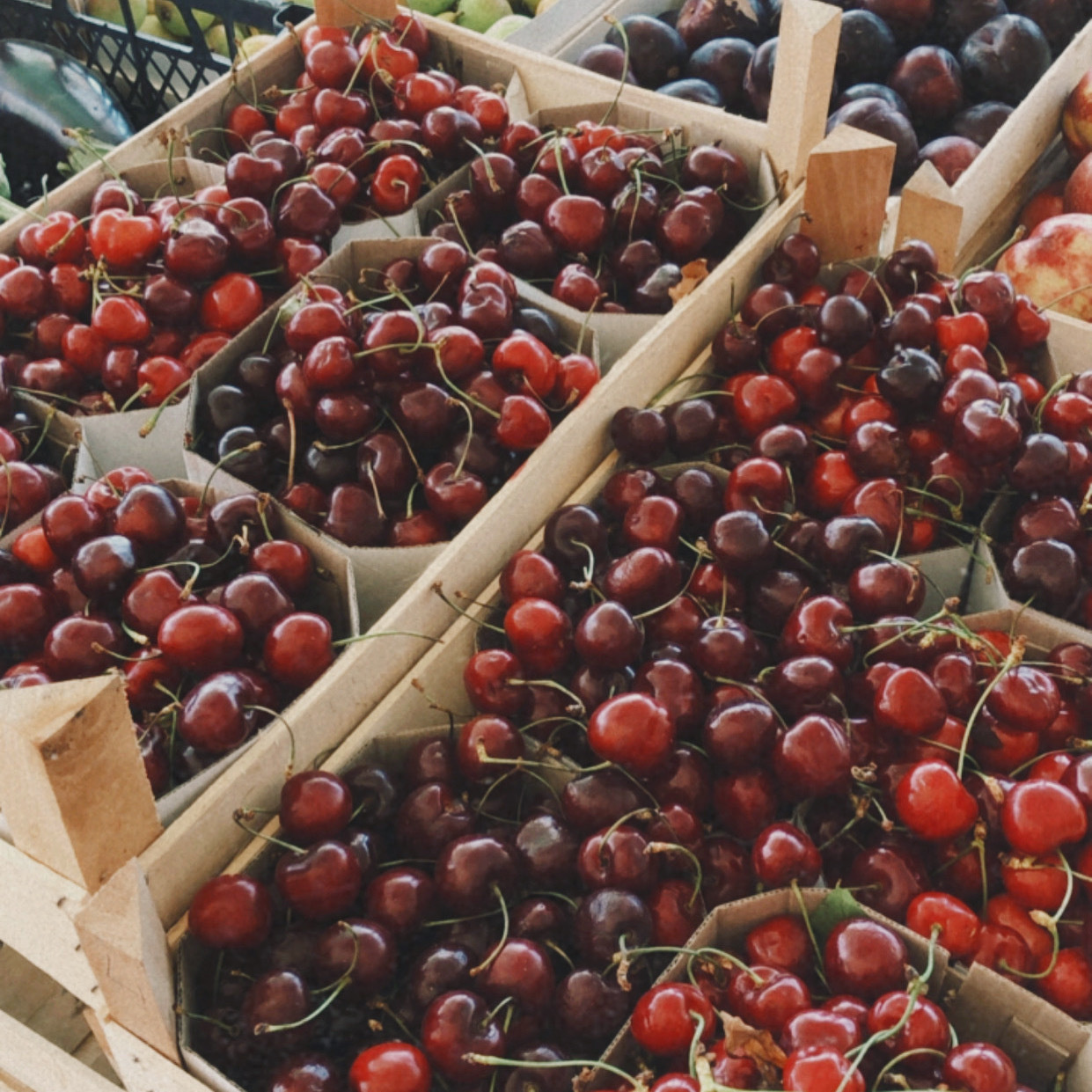 Voors en tegens van immigreren naar Montenegro