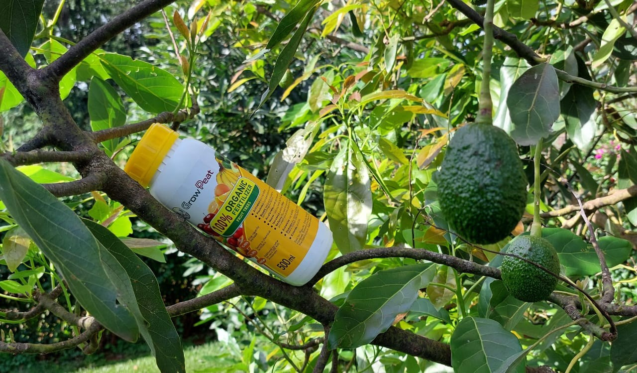 Grow Peat Organic Farming Training Crops and Sustainable Agriculture. Boost Plant Growth with Organic Fertilizers: Our Effective Solution