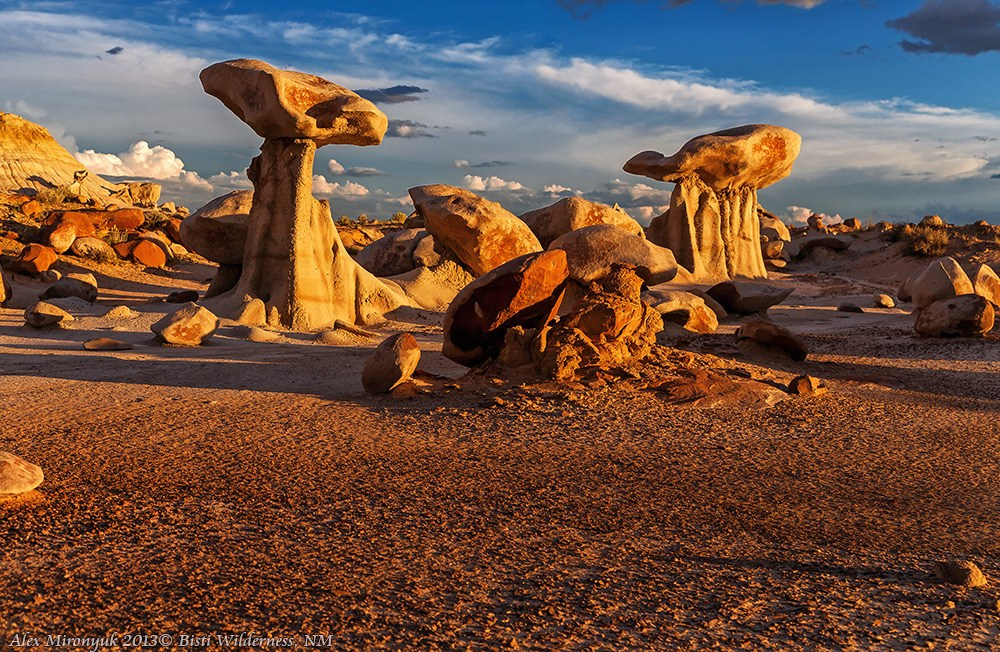 The Best of New Mexico. Pet, Senior, Landscape, portrait studio, photographer in Miami and Sou