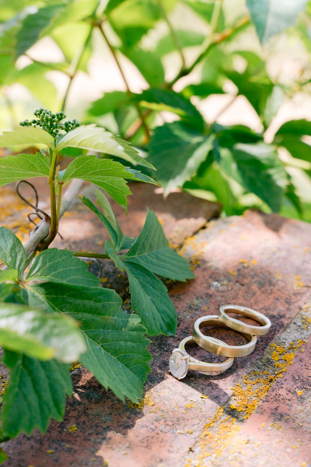 Wedding V&B Day 1. Little Birdie – Jouw familie- en huwelijksfotograaf in België en daarbuiten