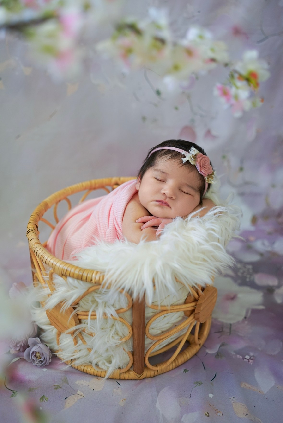 Posed Newborn. Maternity, family and newborn photography in San Francisco Bay Area