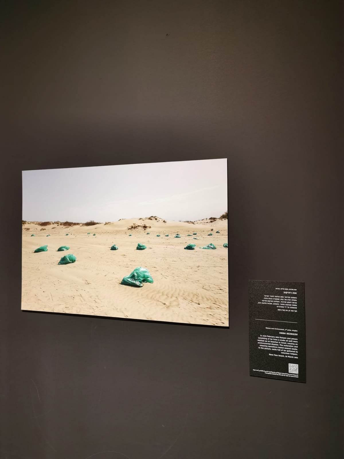 Биография Анны Резников. Фотограф Анна Резников