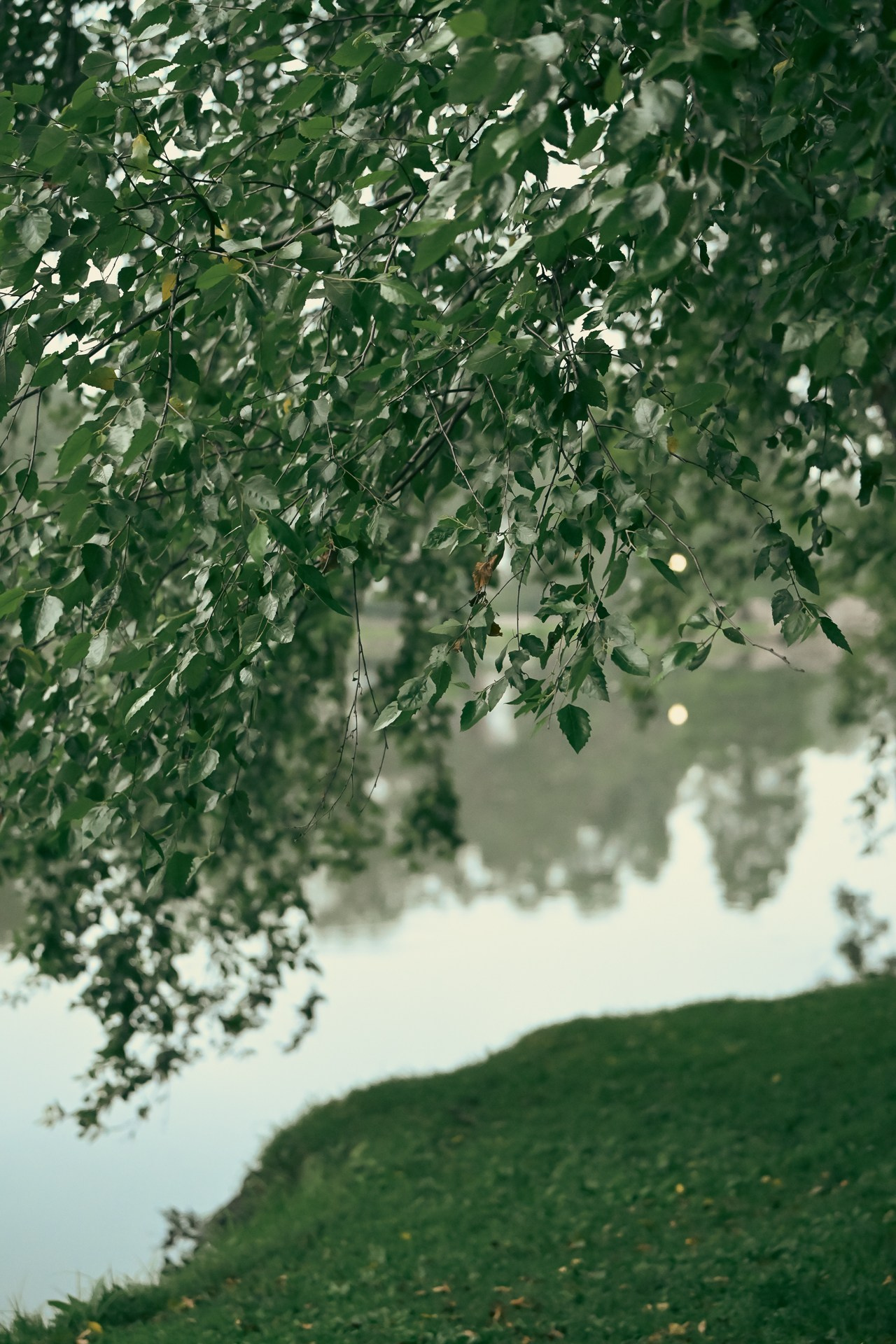 Crayola roots of Binney Park