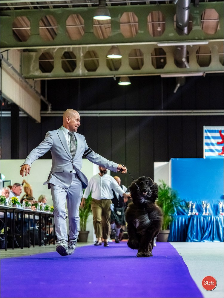 🇱🇺 LUXEMBOURG 🇱🇺 International Dog Show 🇱🇺 31/08 - 01/09/2024. Photographe à Strasbourg | Portraits, Studio, Enfants, Événements