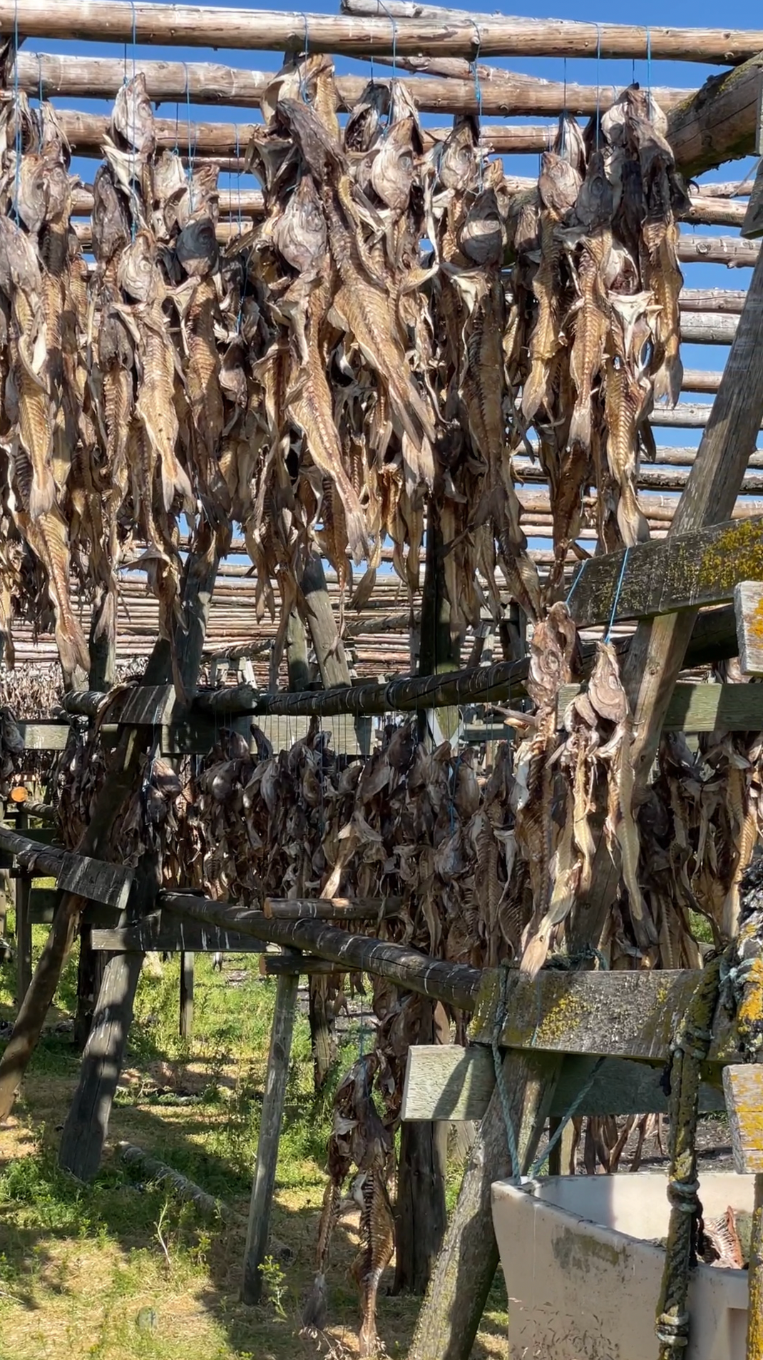 Моя фотопутешествие в Исландию. Евгения Смирнова — Ваш фотограф в Тулузе и на юго-западе Франции