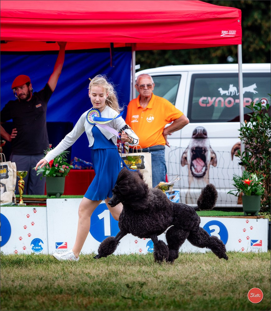 Exposition Canine à STRASBOURG-HOERDT Dimanche 18 août 2024. Photographe à Strasbourg | Portraits, Studio, Enfants, Événements