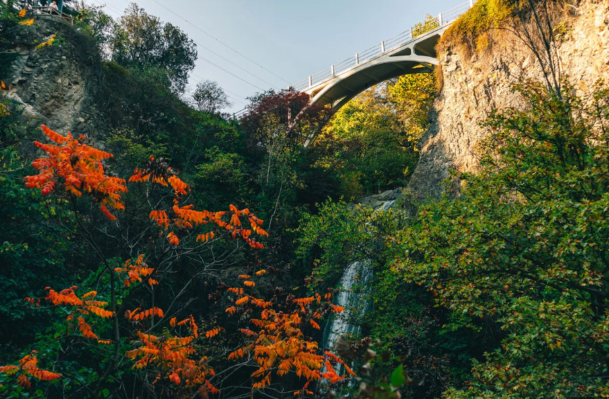 Tbilisi Botanical Garden. Главная