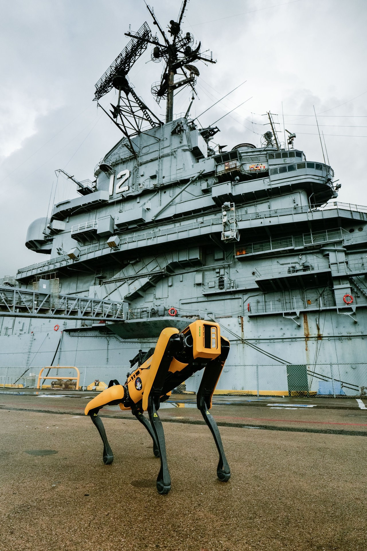 Events. Daniel Vegera — Artistic & Business Photography in San Francisco