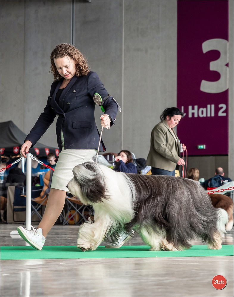 Expo canine 🇫🇷 Châlons-en-Champagne 22-23/02/2025. Photographe à Strasbourg | Portraits, Studio, Enfants, Événements
