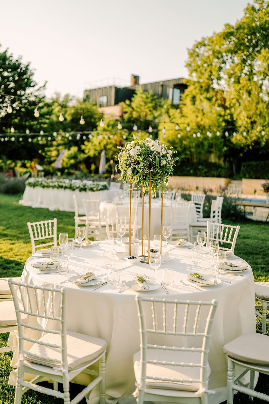 Giuaani Winery. Art Event Studio — Wedding in Georgia with professionals