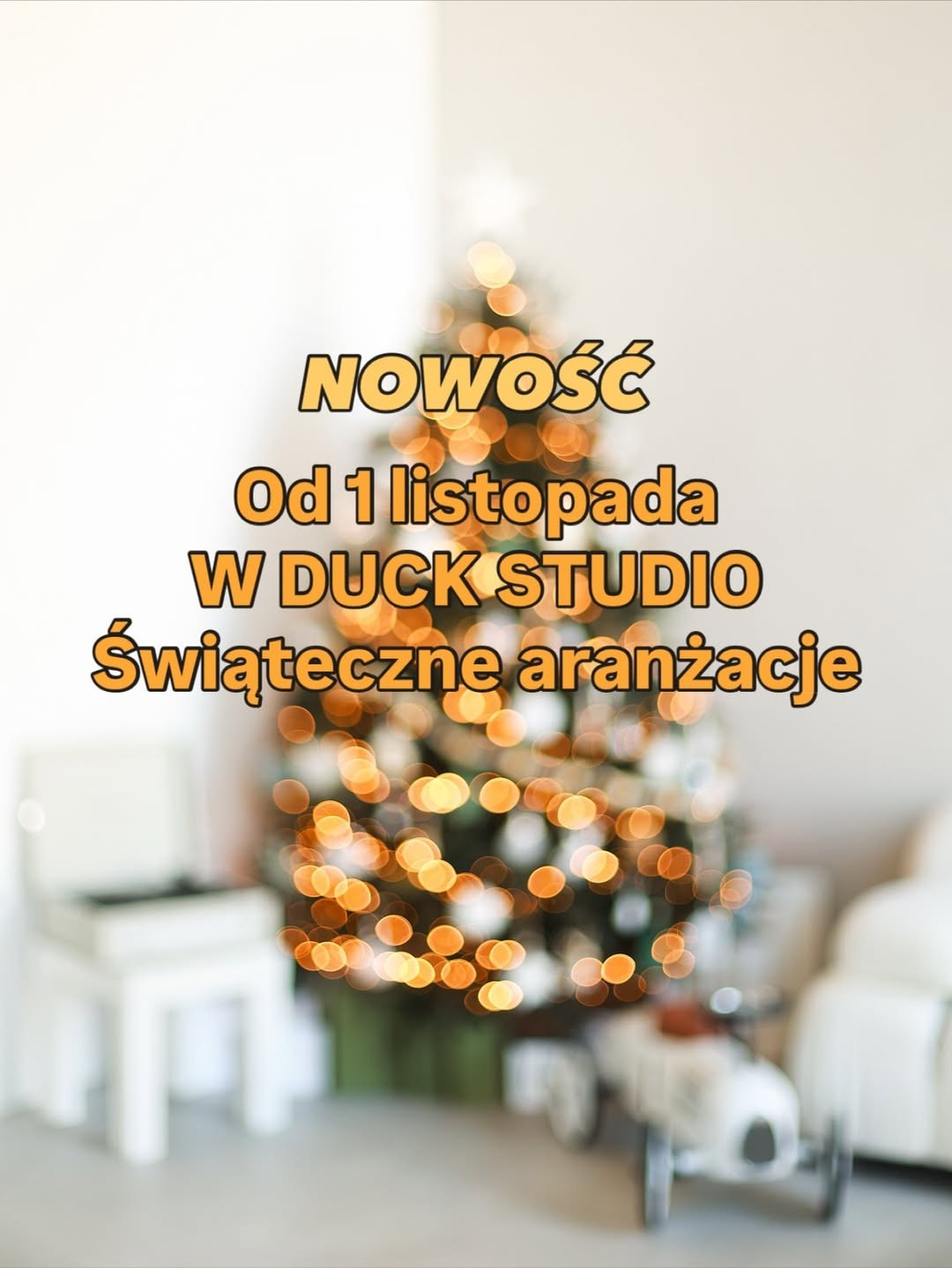 Студії новорічні. Весільний, сімейний фотограф Варшава