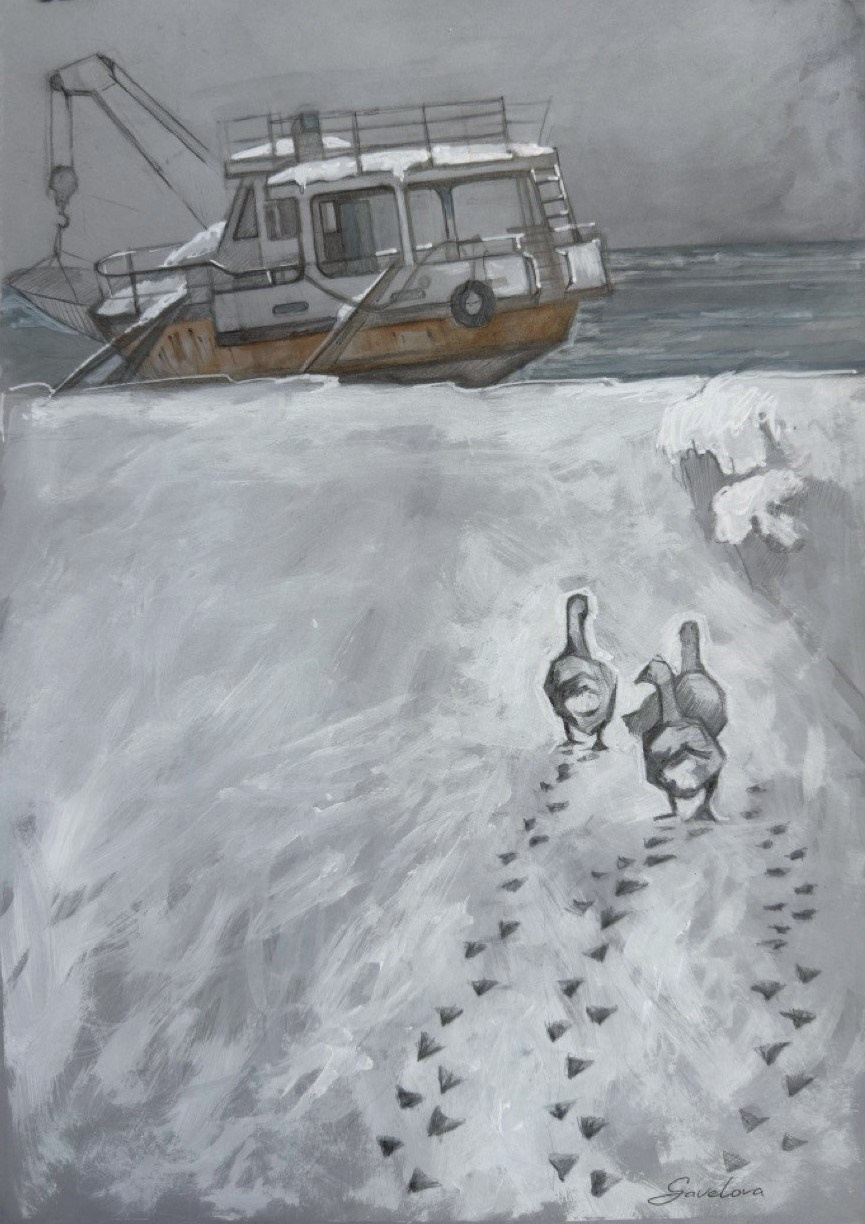 «Замерзшие сны» 200 ₾