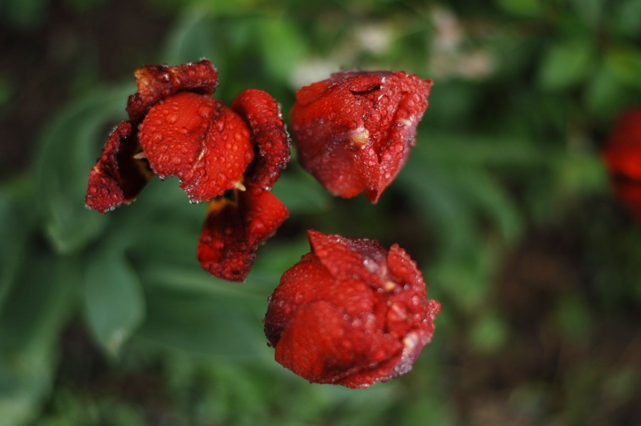 Авторський курс. Fotógrafo de bodas y familias en España, Málaga, Marbella