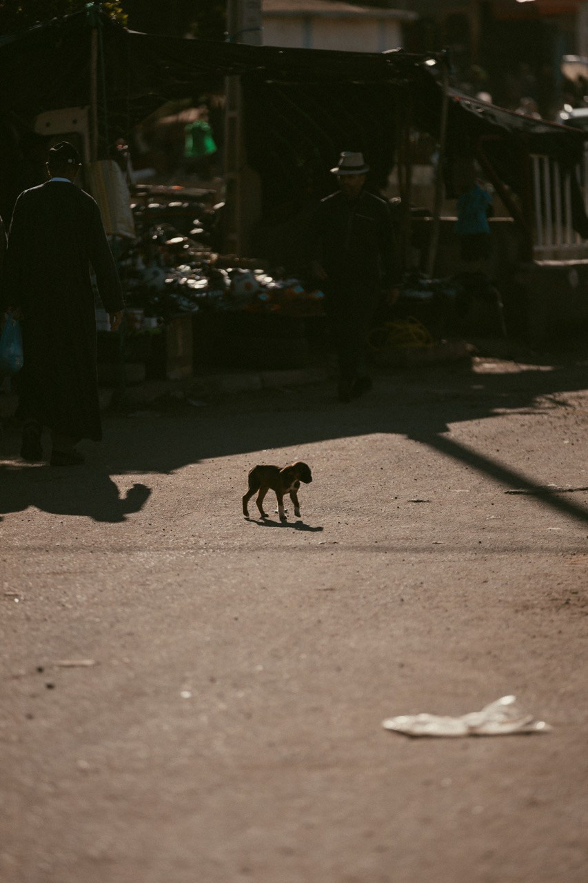 Travel and lifestyle fotografka. Dana Lišková — Empatická fotografka | Introspektivní umělkyně | Neurodivergentní koučka| Zakladatelka Artepy.cz