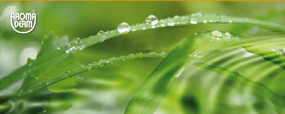 CELLO GEL HOT WRAPPING. Home